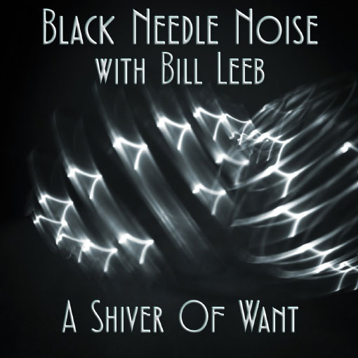 John Fryer + Bill Leeb = Black Needle Noise
