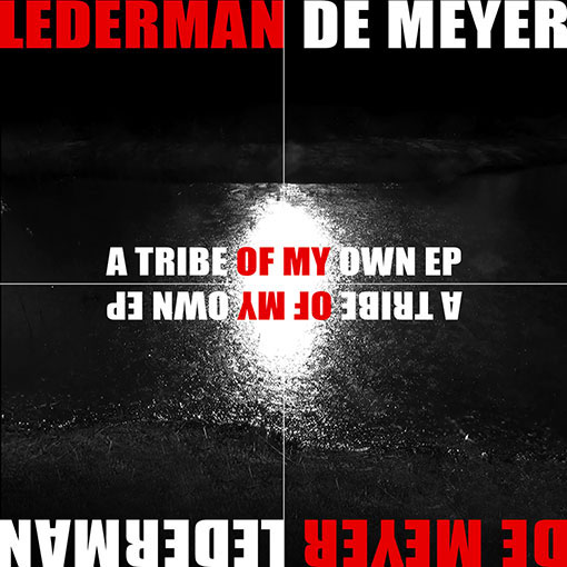 Lederman / De Meyer "A Tribe Of My Own" en écoute avec une reprise de Fad Gadget