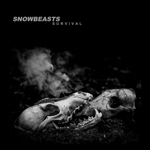 Snowbeasts : un nouvel album