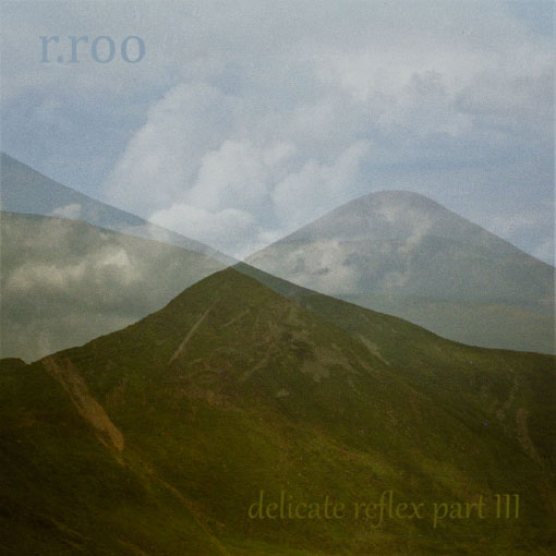 Un nouvel EP pour r.roo 