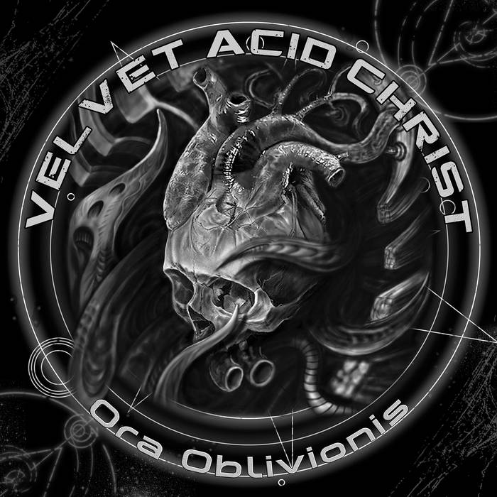 Velvet Acid Christ revient avec un nouvel album en août