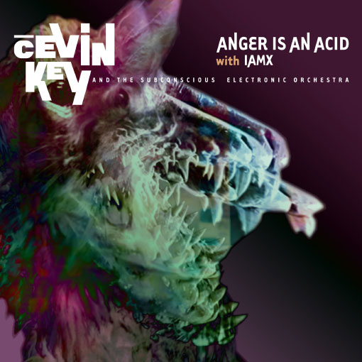 cEvin Key et Chris Corner d’IAMX : "Anger is an Acid"