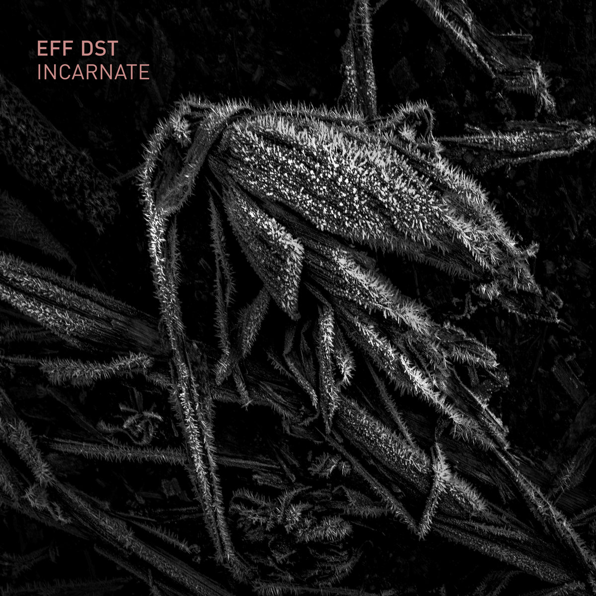EFF DST, nouvel album