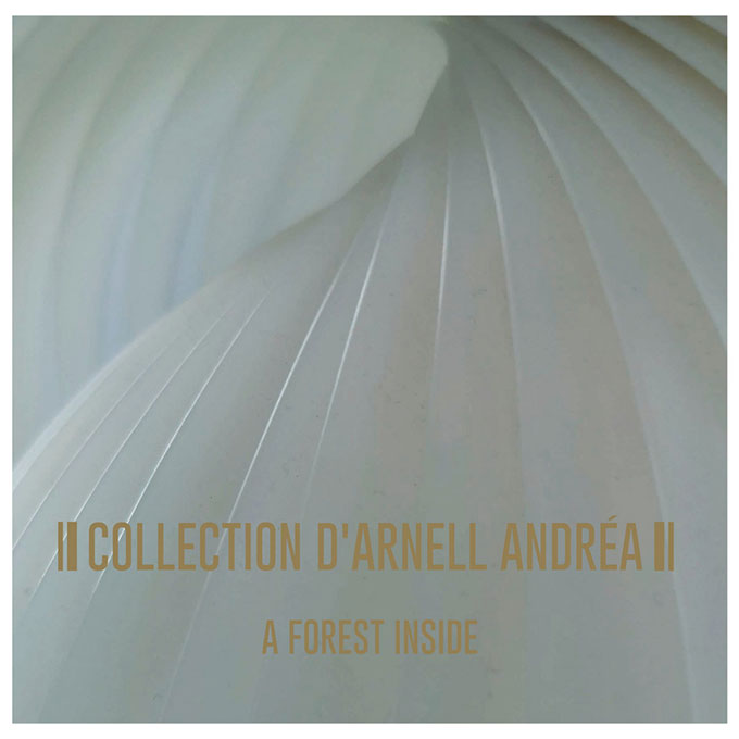 Collection d'Arnell-Andréa un nouvel album !