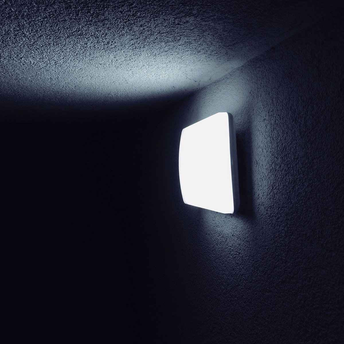 Blurred City Lights, un nouvel album paru le 6 septembre