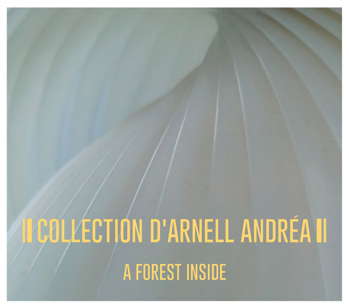 Collection d'Arnell-Andréa un nouvel album !
