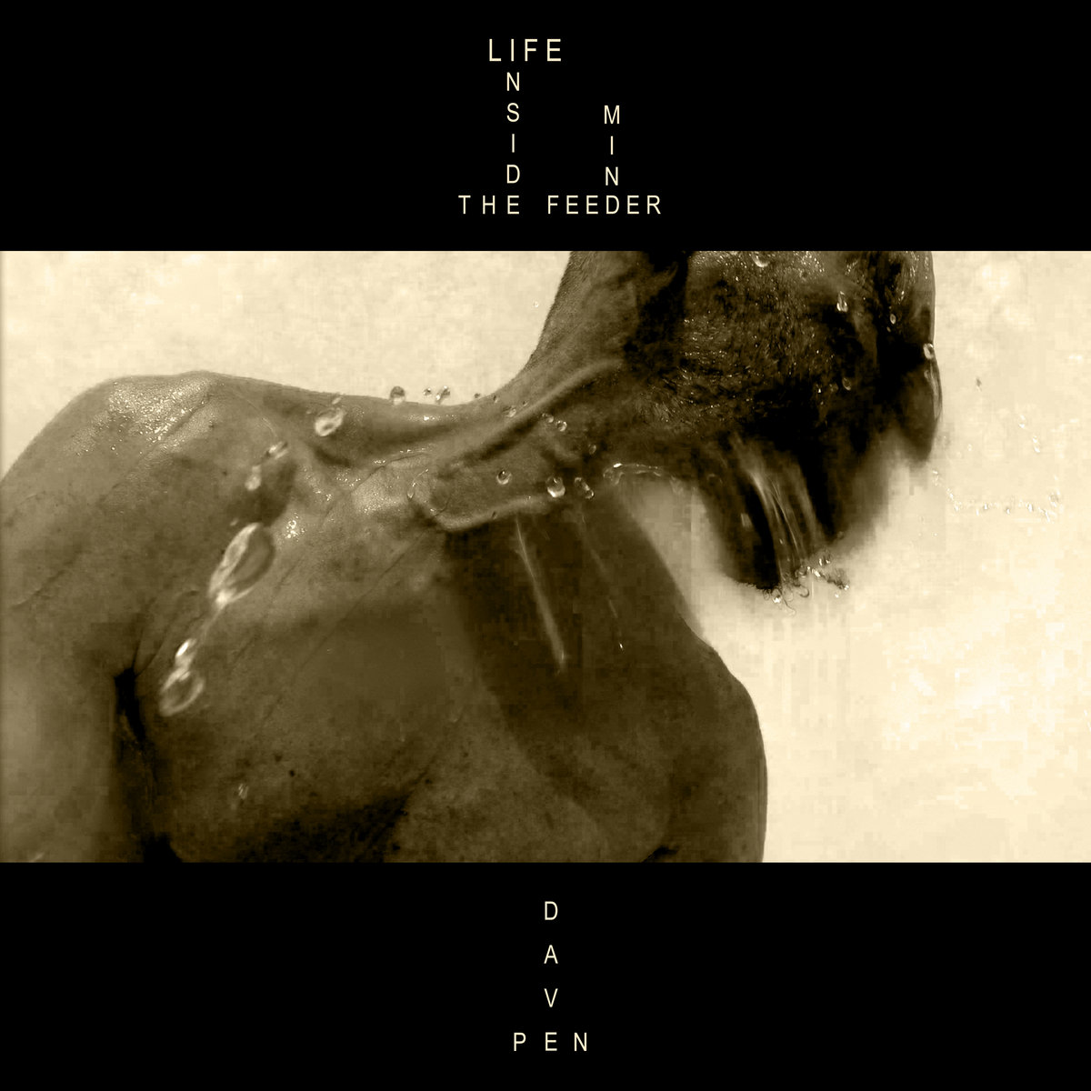 Dave Pen, deux titres en vid&eacute;o