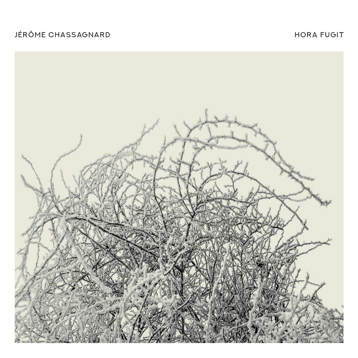 J&eacute;r&ocirc;me Chassagnard, une nouvelle compilation