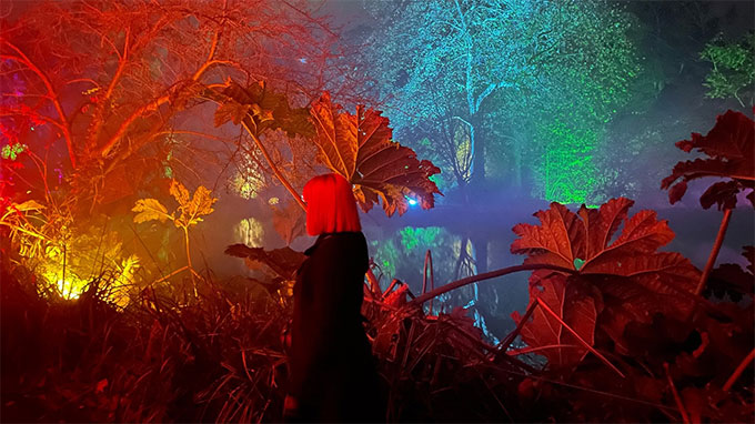 Une tr&egrave;s jolie d&eacute;couverte : West Wickhams