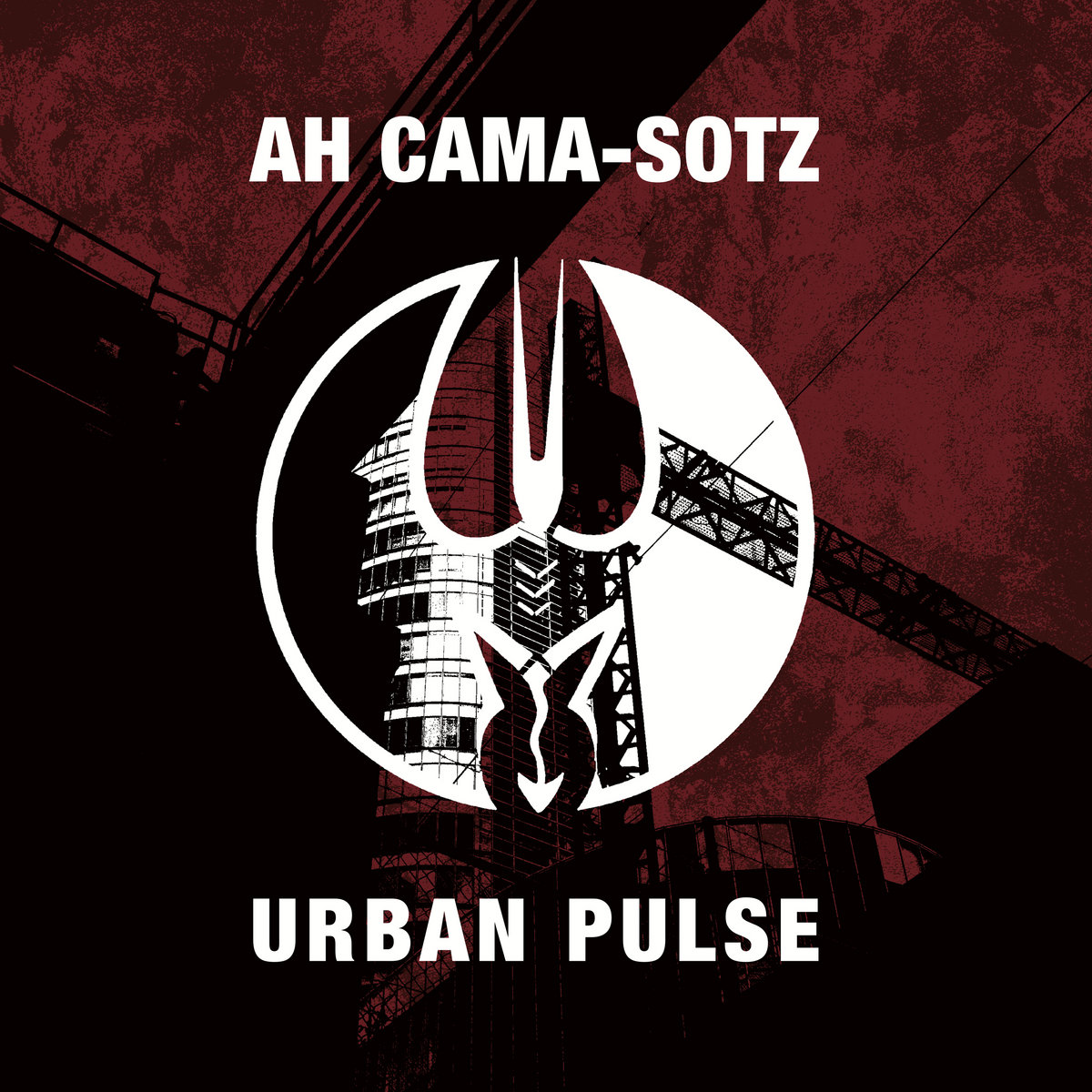 Ah Cama-Sotz, nouvel album