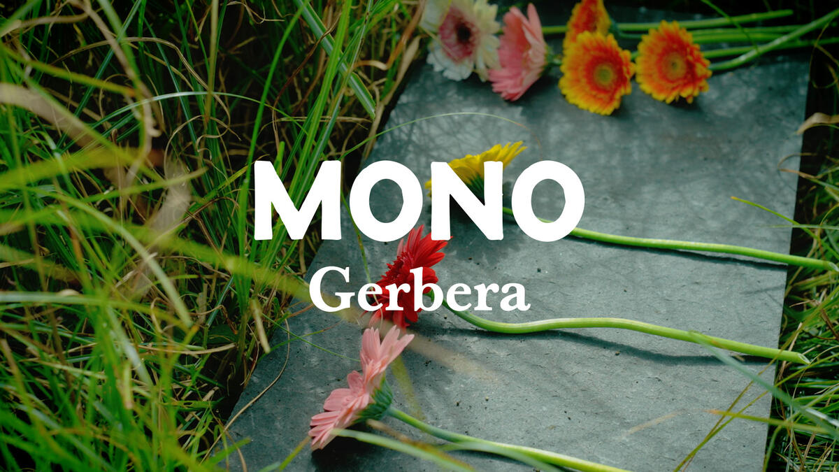 MONO, nouveau titre en vid&eacute;o