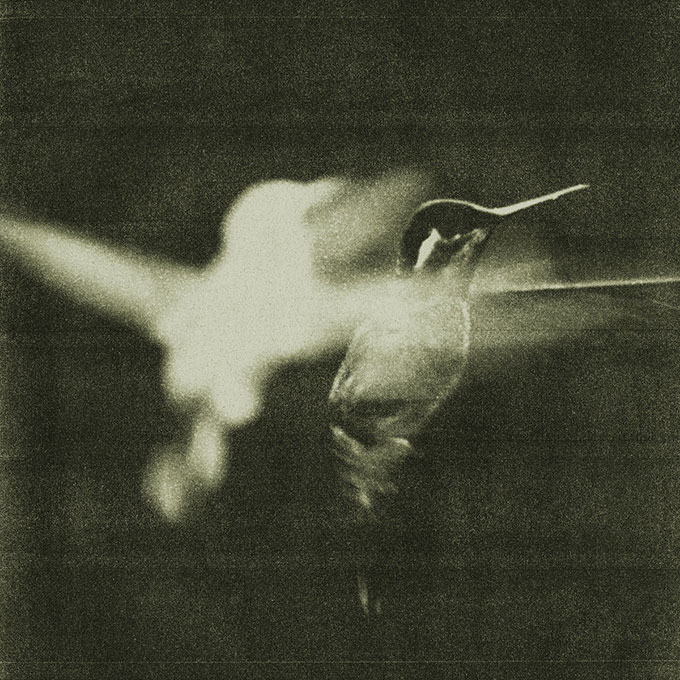 Un titre de Wings of Desire &agrave; chaque pleine lune