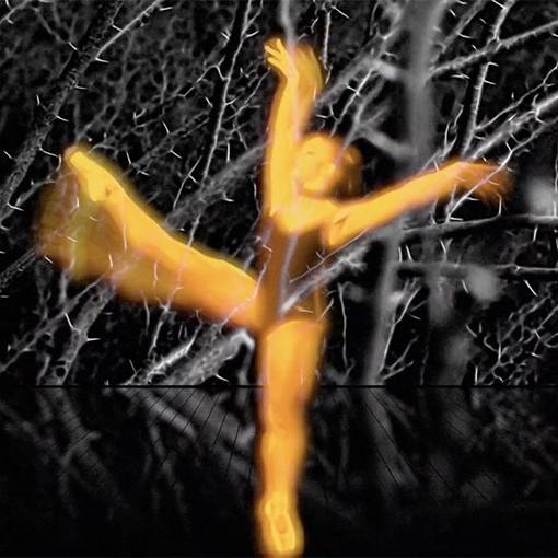 &Eacute;cho Fant&ocirc;me offre des images &agrave; "Soleil Noir"