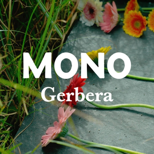 MONO, nouveau titre en vid&eacute;o